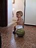 I don't know why, they were very interested in playing with watermelon.
